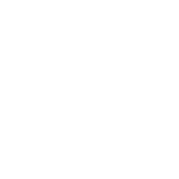 Spitaler Schuhe // Schuhgeschäft